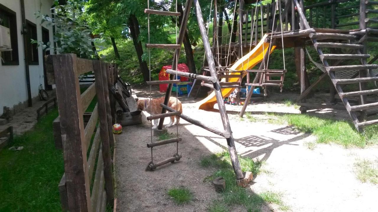 Pension Casa Drumetului Karácsonkő Kültér fotó
